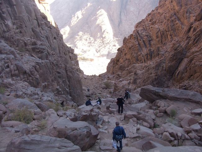 ・シナイ山　<br /><br />ご来光をしっかり拝むと、帰りは階段の道から帰る。<br />これは、かなりキツイな・・・。<br />行きは、確実にラクダ道を登った方がいいと思います。<br />ラクダ道の方は、全然よゆーです。