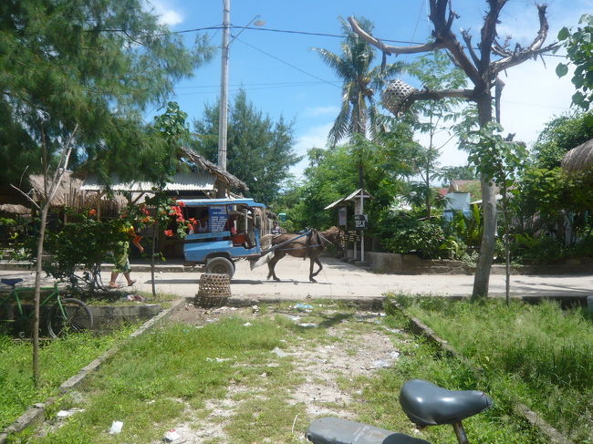 ギリには車やバイクはありません。この馬車で移動です。