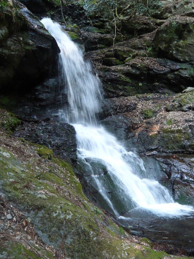 春の吉野路 滝紀行 七滝八壺 東の滝 奈良県東吉野村 川上 東吉野 奈良県 の旅行記 ブログ By Joecoolさん フォートラベル