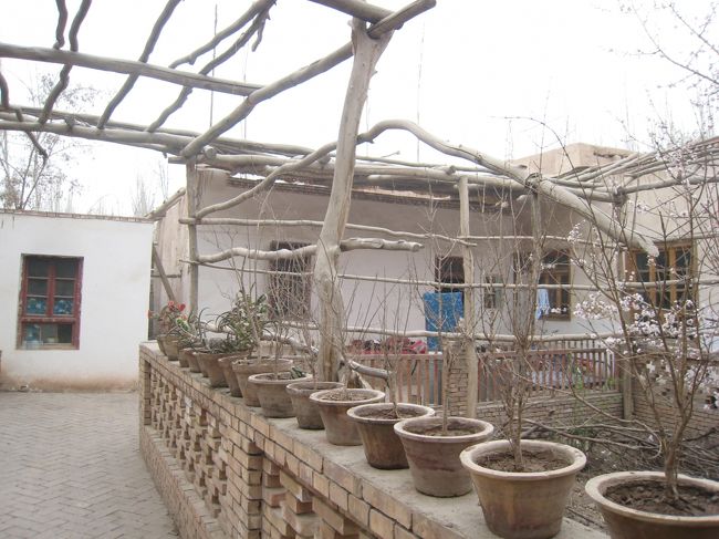 内部までは入らなかったが、庭を見る限りとてもよく片づいている。夏になると強い日差しをさえぎってくれるであろうブドウ棚もある。