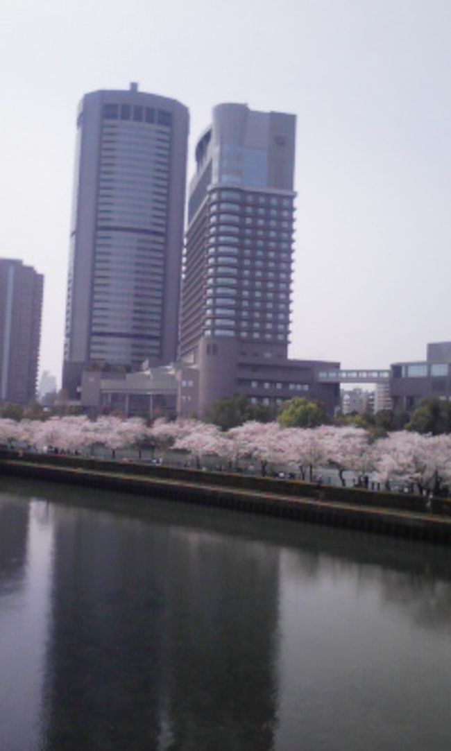 Oapタワーと帝国ホテル大阪周辺の桜 大阪城 京橋 大阪 の旅行記 ブログ By ゆき みかんさん フォートラベル