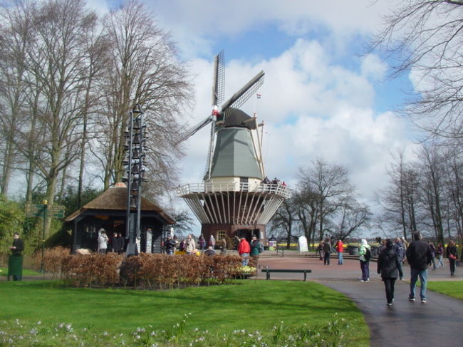 <br />キューケンホフ公園の中。<br /><br />風車なんて、オランダっぽいじゃないですか♪