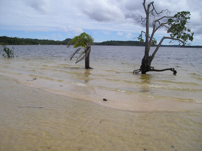 雨が降ったので、川の水が溢れて、湖の方に流れています。