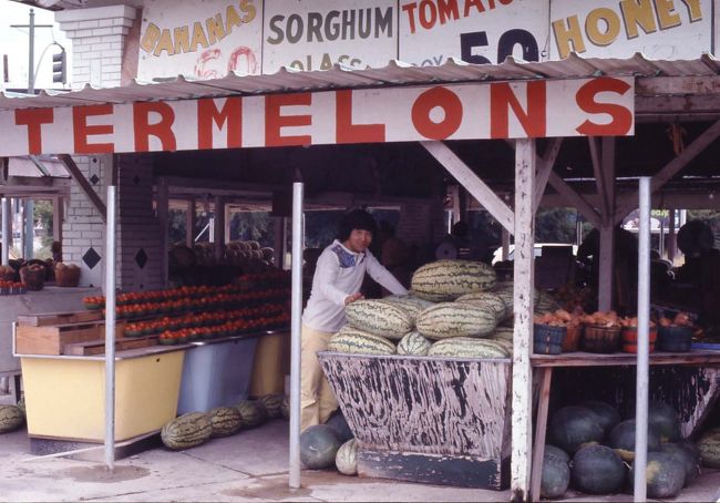 スイカは大きい