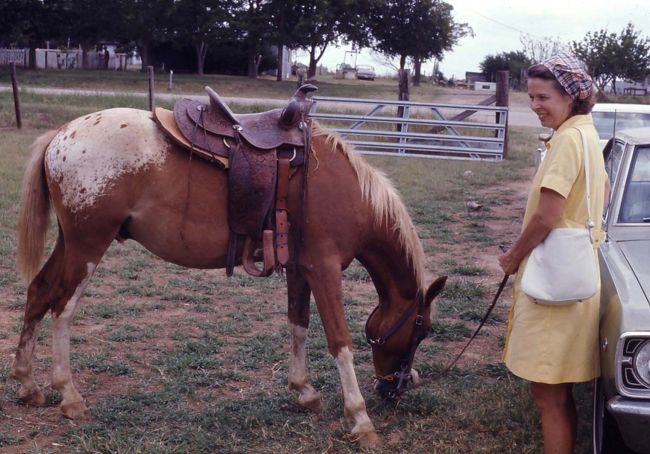 ママと親戚の田舎へ