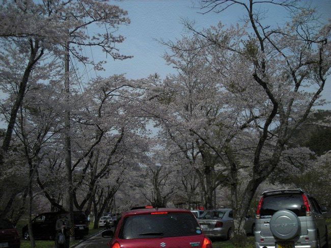 土日とも行って来たのですが，土曜日のほうがまだ空いていたかも。そして土曜日の方が綺麗でした。