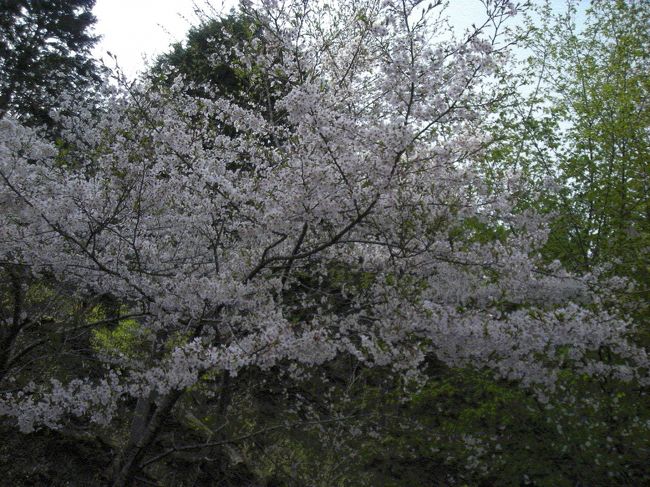 ここは車でドライブがてら見るのが一番似合うところ。