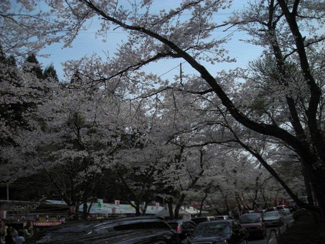 すごい車の量です。宴会している脇を車で通るから，落ち着いて飲んだり出来ないかも。排気ガスまるけになるしー。