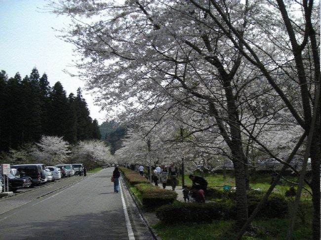 しかし，何で春の空ってかすんでるんでしょう。