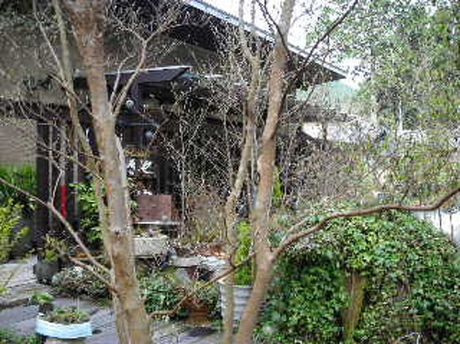 こちらも久々。せきやへ。凄くこんでましたが，何とかお茶をすることが出来て満足。