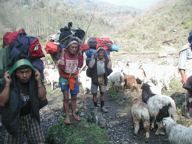 ポーターも足止め。<br /><br />渋滞・・・<br />このコース唯一混雑した道。