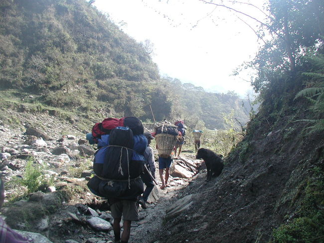 ポーターを見送る利口そうな犬。