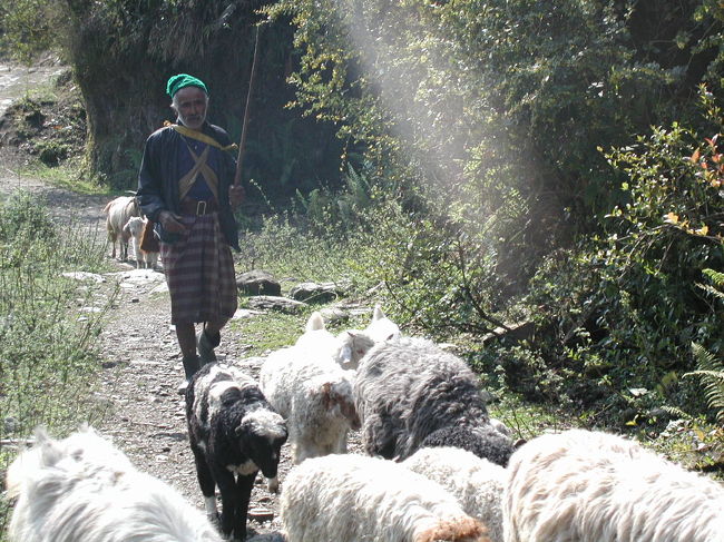 隊列を追って。