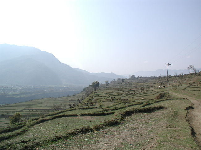 見事な棚田が展開されて・・・。