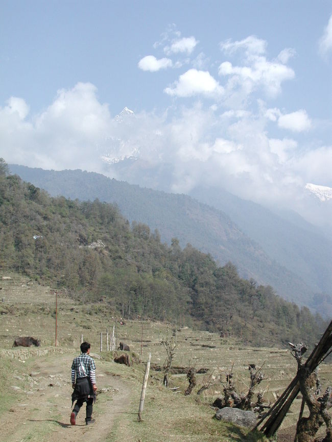 マチャプチャレも顔を出してくれる。