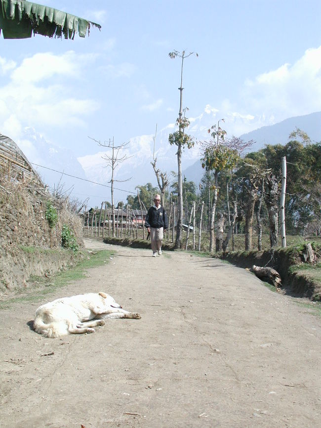 長閑な村の幹線道路・・・。<br /><br />犬の昼寝を人がよけて通る。