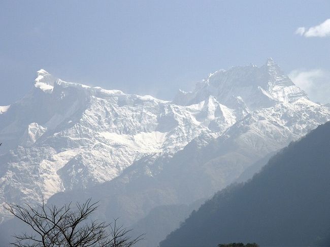 すっかり天候も回復して<br />今日は歩いている背後にアンナプルナ?・?が輝いています。