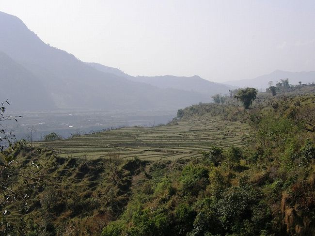 棚田。<br />地形を最大限利用して棚田は造られている。