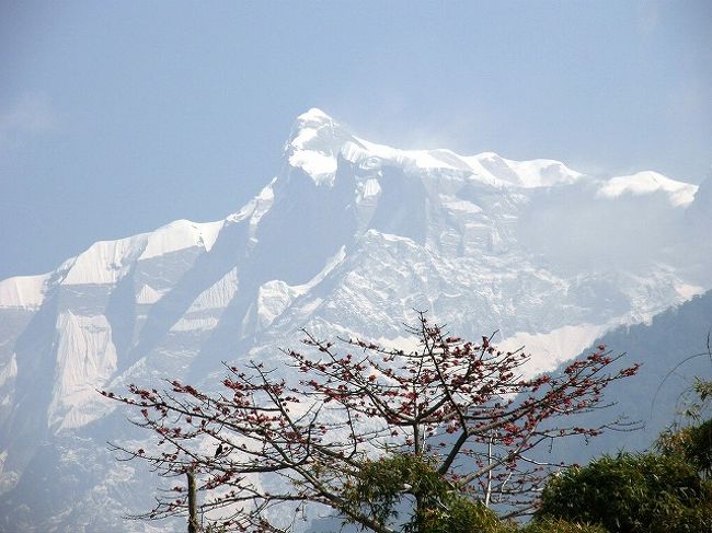 アンナプルナ?とボンデイロ。