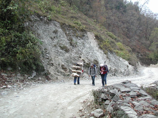 鶏をかごに入れて背負い運搬する人とすれ違う。