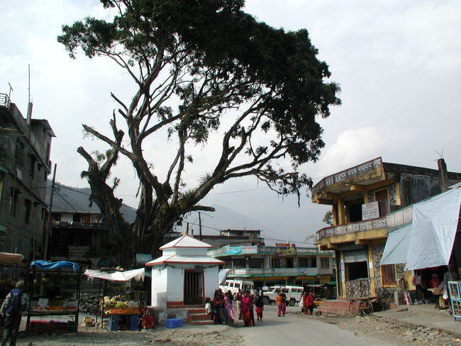 この村で車をチャーターしてポカラへ向かう。