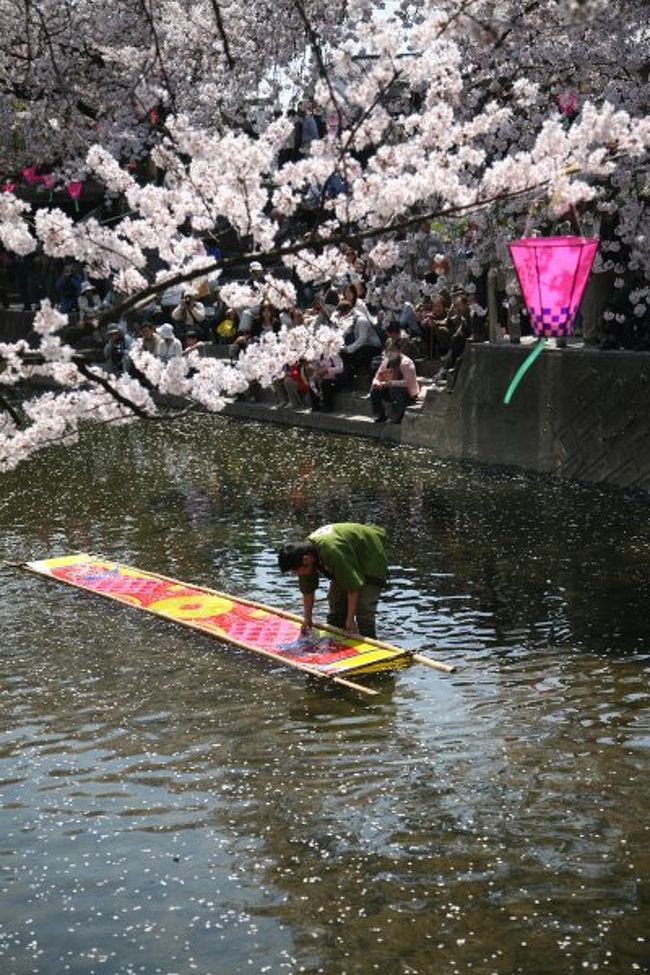 小さな旅 岩倉桜まつり 山車 のんぼり洗い 岩倉 江南 愛知県 の旅行記 ブログ By シベックさん フォートラベル