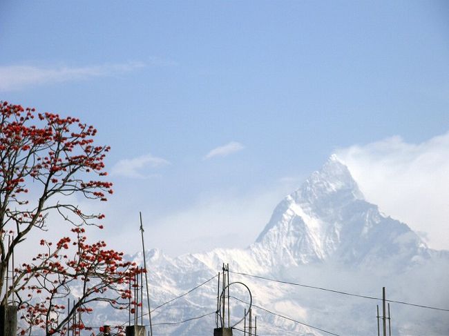 コルチョンピークのトレッキングを終えて<br />今日からポカラの散策を予定していたが<br /><br />起床してみると快晴<br />なんとポカラからマチャプチャレが。