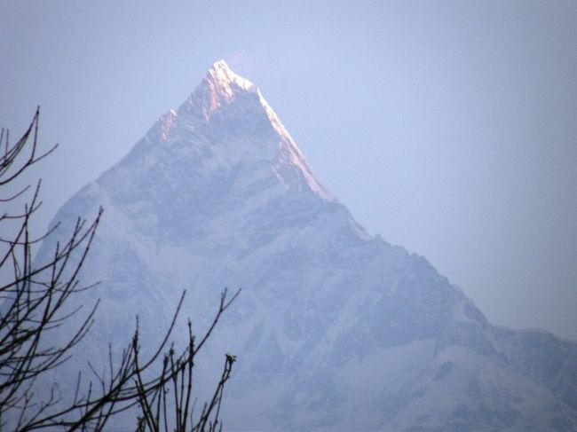 感激の一瞬<br />マチャプチャレのモルゲンロート。