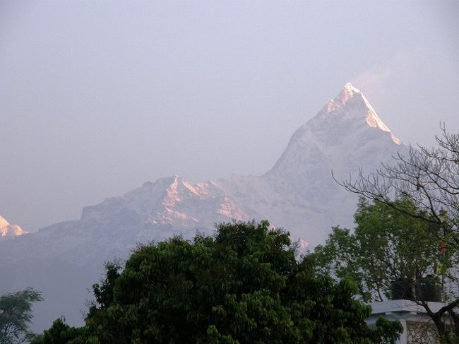 早朝、昨日と同じようにポカラの朝は<br />マチャプチャレのモルゲンロートから始まった。