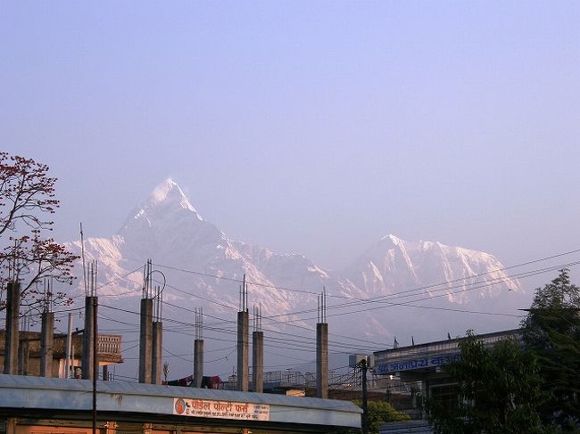 輝きを増して<br />民家の屋根の上を飾る。