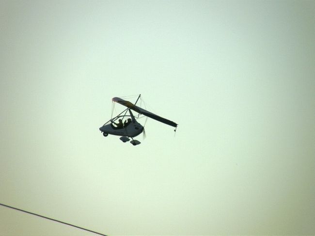 こちらは<br />大きな鳥でなくて<br />人間の鳥！