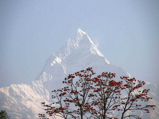ボンデイロが雪山に映えて。