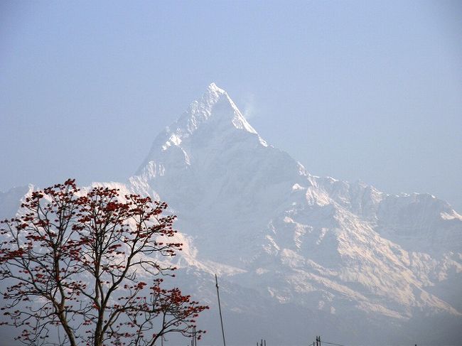 かなり日は昇り山は輝きを増す。