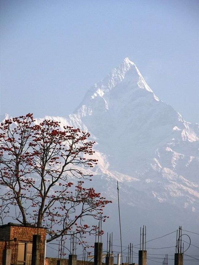 かなり日は昇り山は輝きを増す。