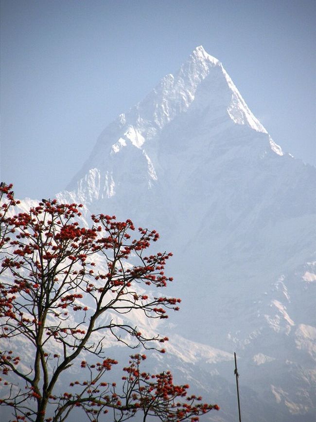 ポカラの街中から見られる<br />ヒマラヤの表情。