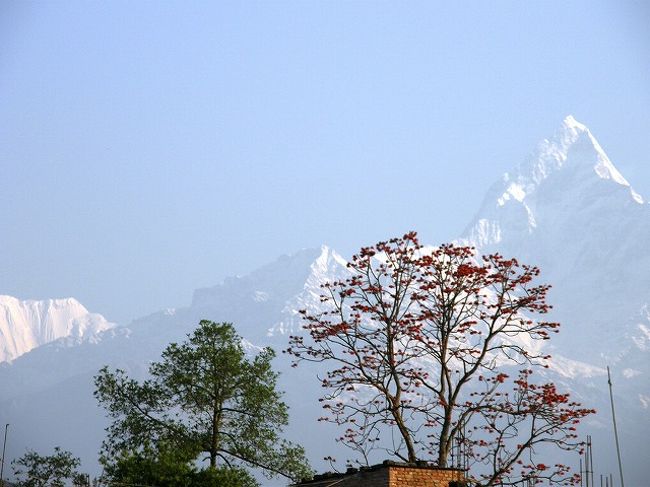 ポカラの街中から見られる<br />ヒマラヤの表情。