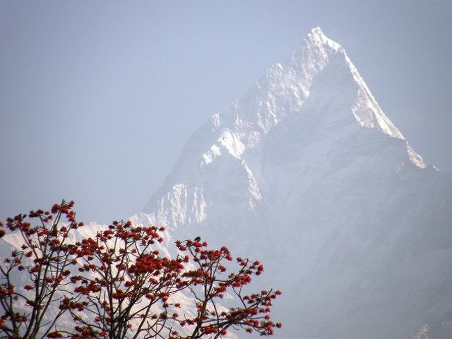ポカラの街中から見られる<br />ヒマラヤの表情。