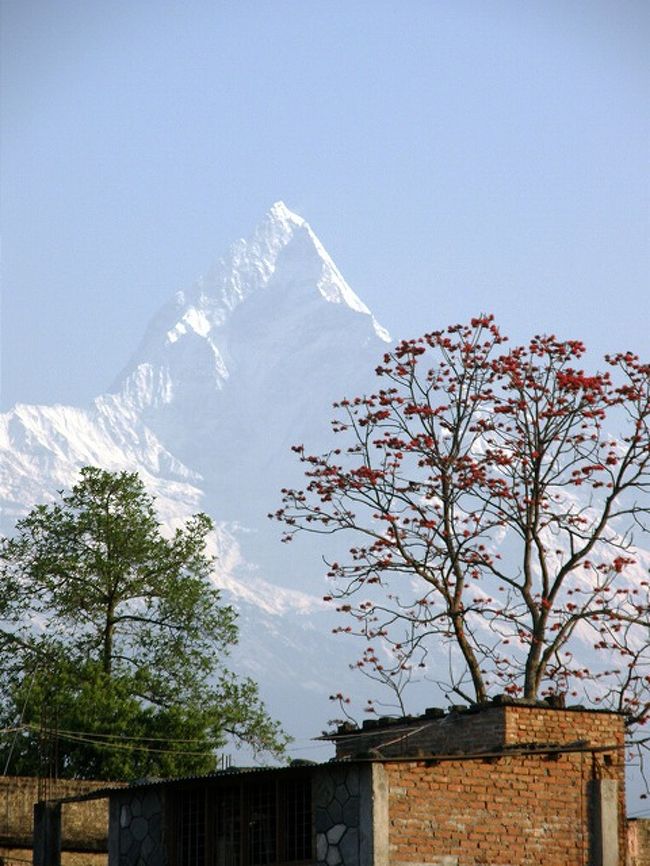 ポカラの街中から見られる<br />ヒマラヤの表情。
