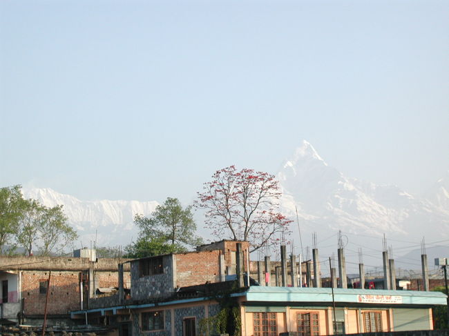 今朝もポカラの空は晴れ渡り<br />ヒマラヤの山並みが望めた。