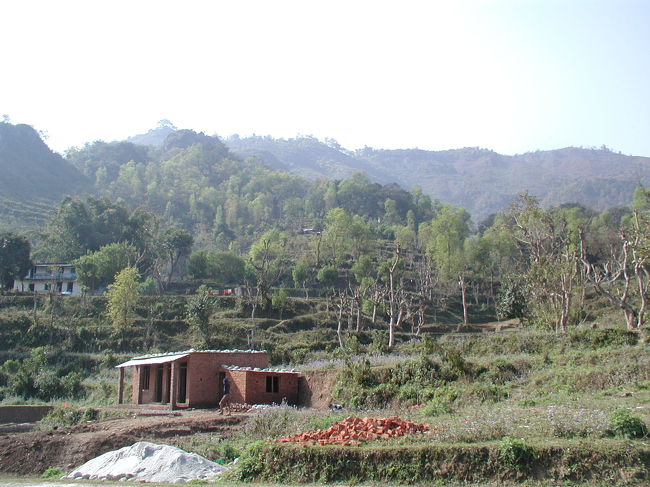 途中休憩したレストハウスの向かい側<br />山は萌えていました。<br /><br />春本番です。