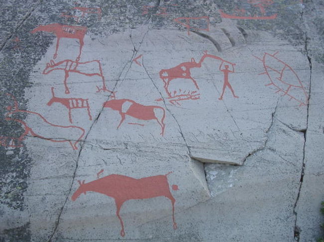 世界遺産アルタのロック・ペインティング！