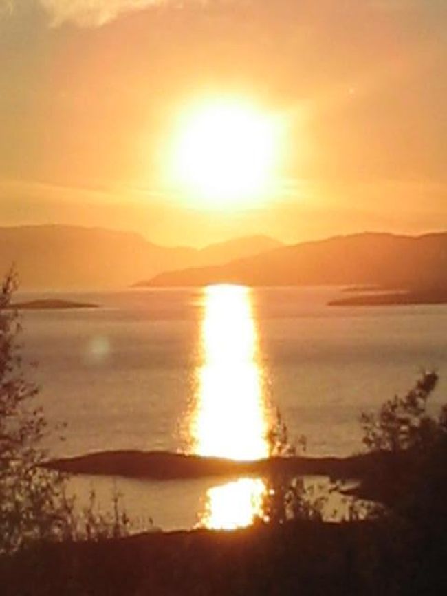 ミッドナイト・サン