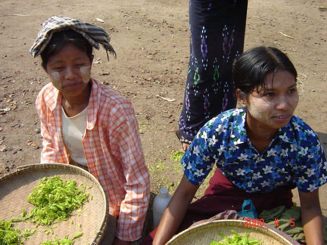 市場にて。<br />タナカを塗ったお姉さん。<br />タナカすーっとして気持ちいい。<br />タナカは日焼け止めです。