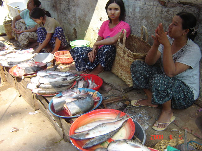 お魚も豊富<br />イワラジ川で捕れるお魚たち。<br />