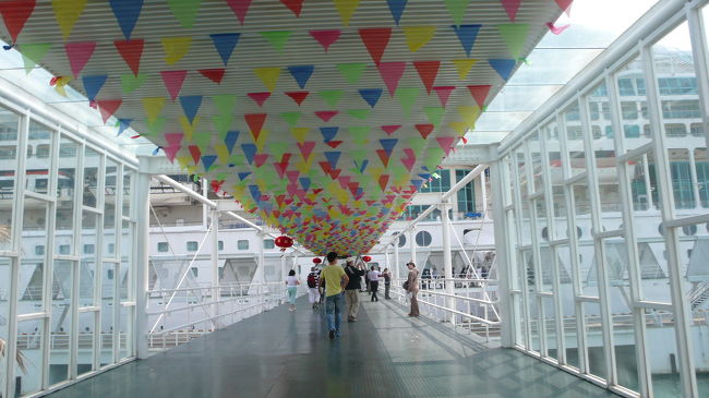 検査場から客船までの通路です。