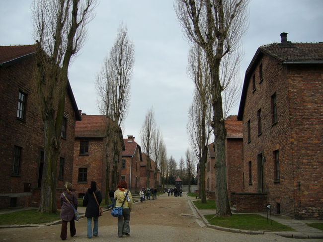 アウシュビッツツアーに参加。工場のような建物がいくつも建っていて、そこにユダヤ人、旧ソ連兵、政治犯などが収容されていたようです。建物内部には、囚人から収容したメガネや家財道具、髪の毛や靴、囚人服などの展示のほか、見分けるマークの説明や処刑に使われた壁の復元、人一人分も座れない個室などが説明つきで見られれます。悲しくなる展示でした。