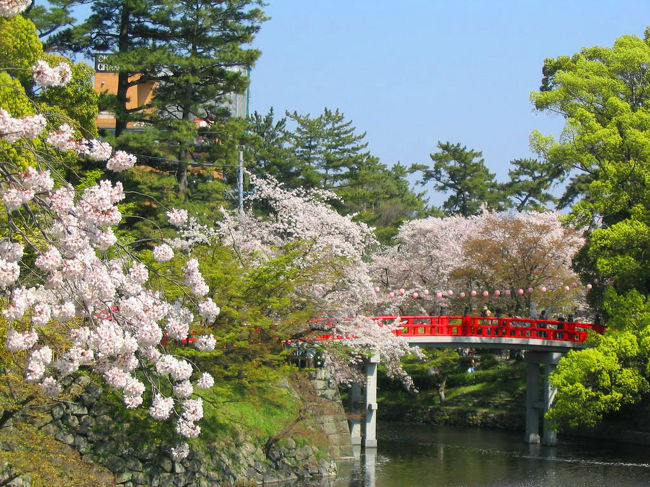帰りに、JR岡崎駅前の「はせべ」で、うなぎを食べて帰ります。