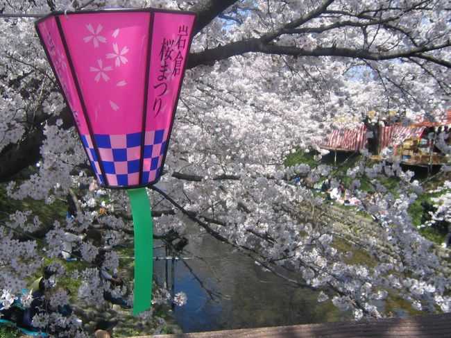 やっぱ、ボンボリが似合いますね。