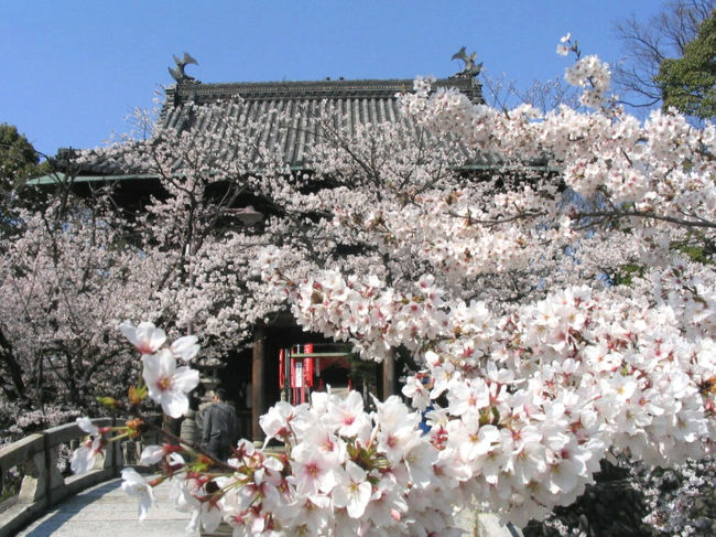 2006-4-6笠寺観音