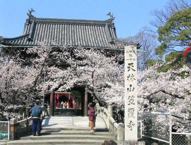 車で前を通って、あまりにも綺麗なので、戻って撮りました。<br />